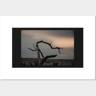 Sunset at Driftwood Beach on Jekyll Island Posters and Art